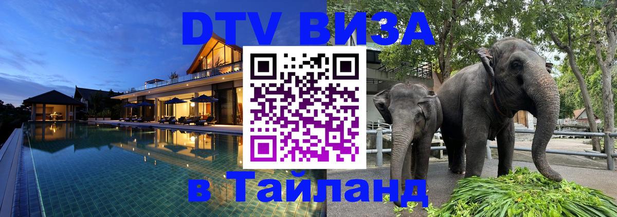 Оформление DTV визы под ключ: стоимость и тарифы, только загранпаспорт - 20.11.2025 